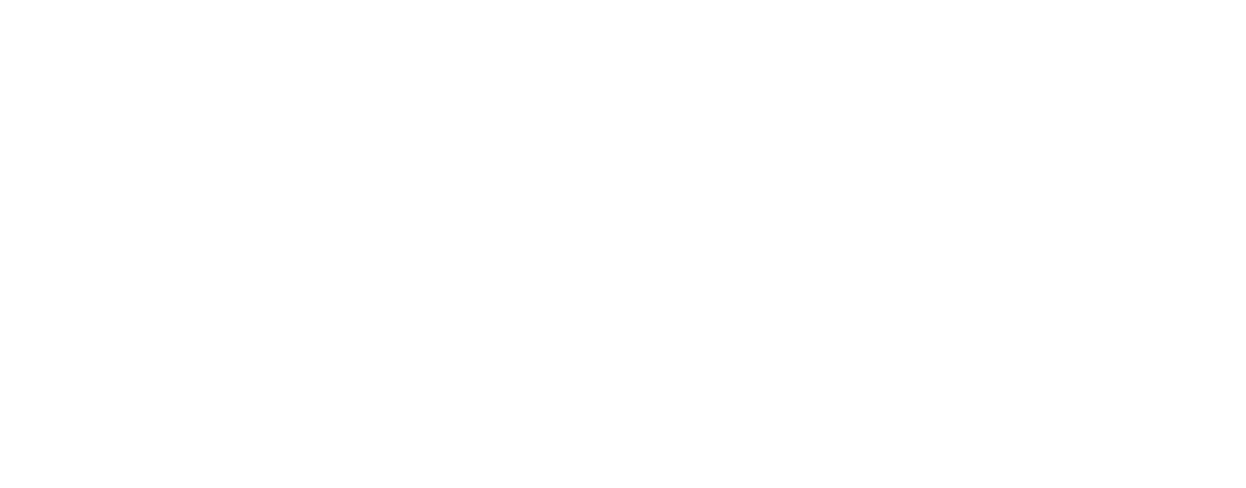 Pixelmon Brasil